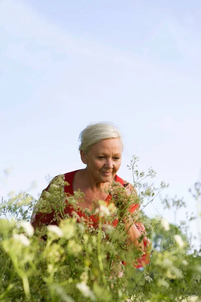 Portrait Senior Adult Caucasian Woman Wild Flowers Nature — Stock Photo, Image