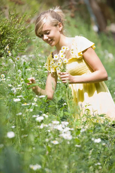 Junges Mädchen Pflückt Blumen — Stockfoto