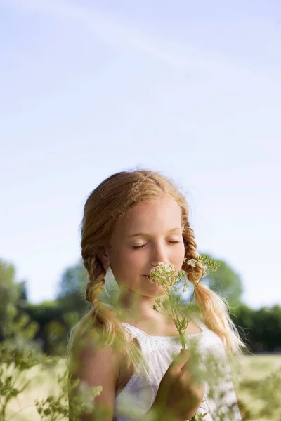 Portrait Jeune Fille Mignonne Avec Des Fleurs Sauvages — Photo