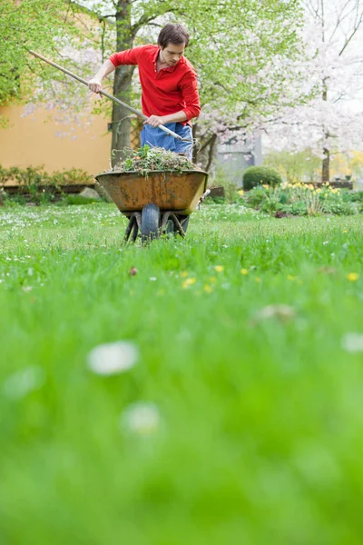 Man Working Garden — Stock Photo, Image