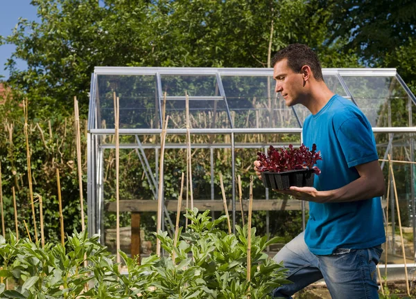 Kaukasischer Erwachsener Mann Garten Mit Pflanzen — Stockfoto