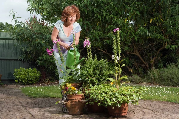 Mature Adult Caucasian Woman Woman Watering Plants — Stock Photo, Image