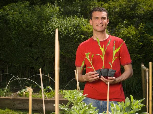 Kaukasischer Erwachsener Mann Pflanzt Garten — Stockfoto