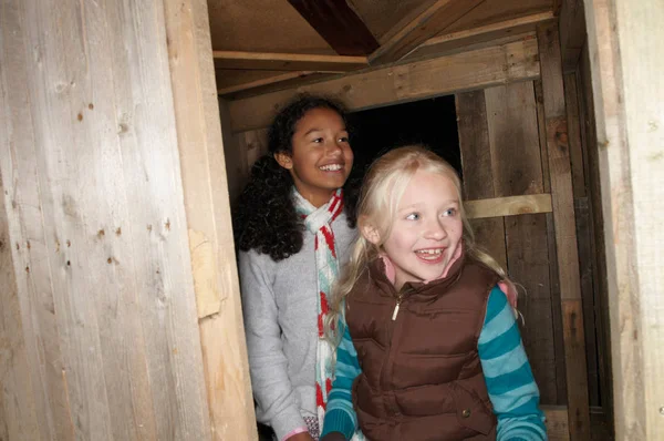 Δύο Νεαρά Κορίτσια Εισέλθουν Δεντρόσπιτο — Φωτογραφία Αρχείου