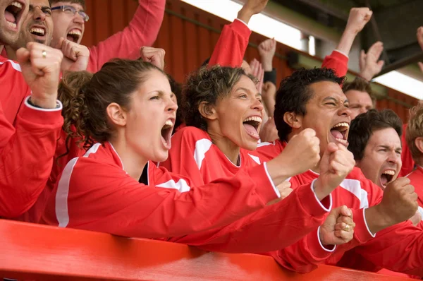 Fans Fejrer Ved Fodboldkamp - Stock-foto