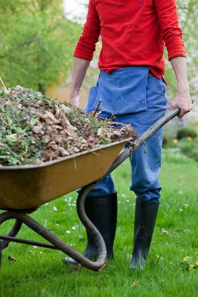 Cropped image of man pushing wheelbarrow with leaves and grass