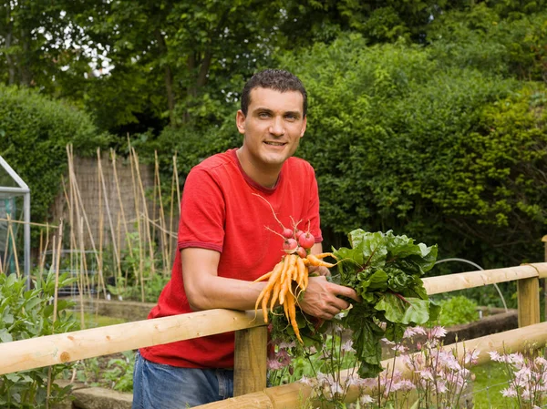 Kaukasischer Erwachsener Mann Garten Mit Gemüse — Stockfoto
