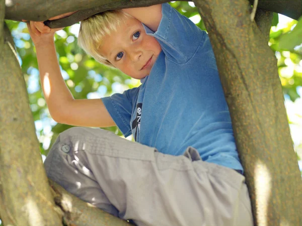 男の子 7木で遊ぶ — ストック写真