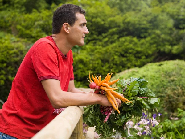 Kaukasischer Erwachsener Mann Garten Mit Gemüsepflanzen — Stockfoto