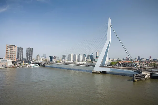 Observación Vista Erasmus Puente Rotterdam — Foto de Stock
