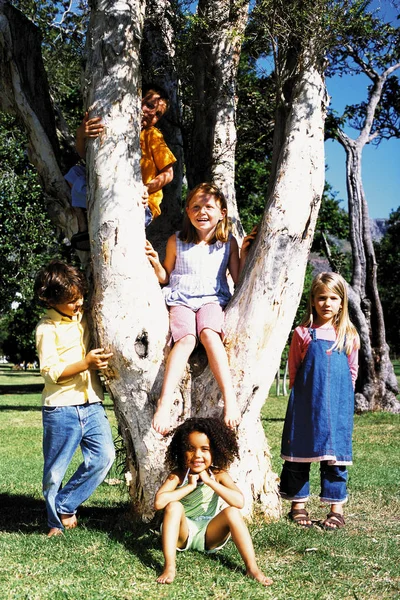 Amigos Jugando Árbol —  Fotos de Stock