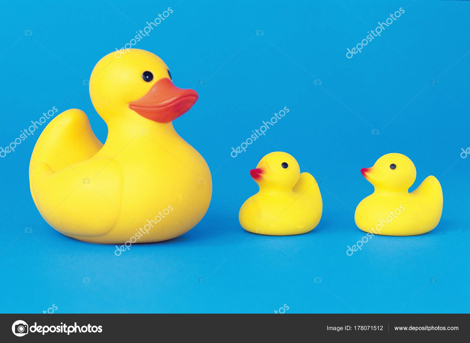 rubber duck size