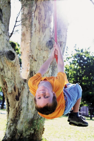 Chico Balanceándose Una Cuerda Árbol —  Fotos de Stock