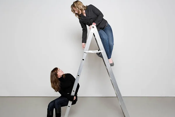 Two women on step ladder