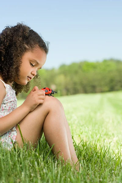 Ragazza Con Una Coccinella Giocattolo — Foto Stock