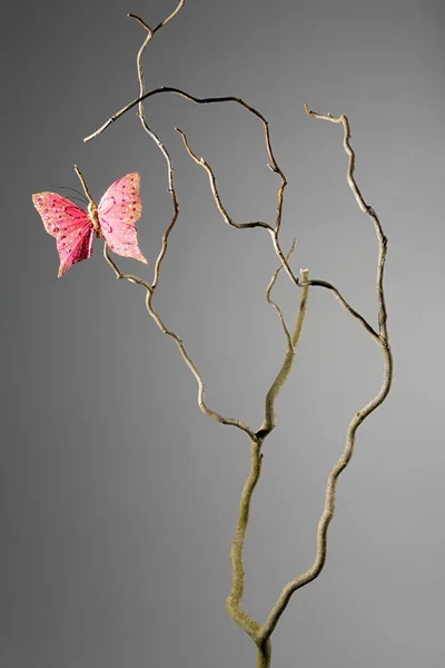 Rosa Schmetterling Auf Einem Toten Ast — Stockfoto