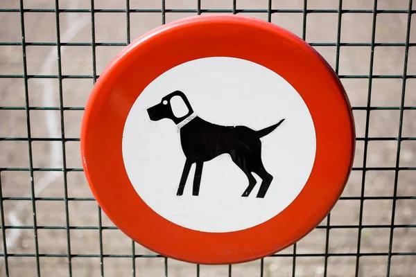 Hund Roten Kreisschild Gitterzaun — Stockfoto