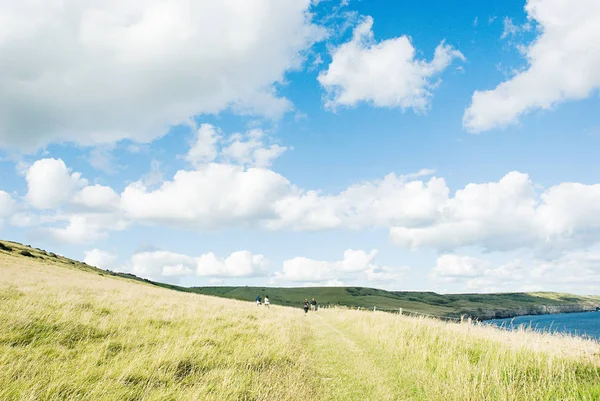 Människor Fältet Blå Molnig Himmel Purbecks Dorset — Stockfoto