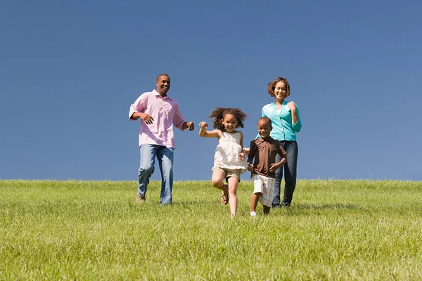 Familie Einem Feld — Stockfoto