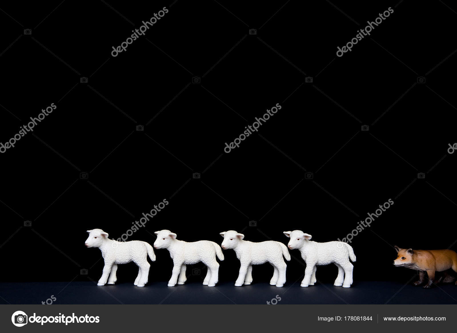 Toy Fox Hunting Lambs — Stock Photo © ImageSource 178081844