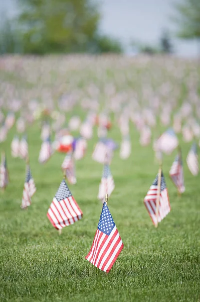 Κλείνω Πάνω Θέα Του Αμερικανικές Σημαίες Στο Νεκροταφείο Θολή Φόντο — Φωτογραφία Αρχείου
