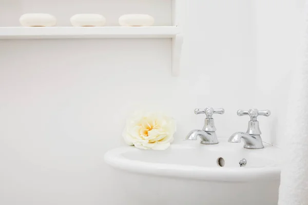 Salle Bain Blanche Avec Fleur Sur Évier — Photo