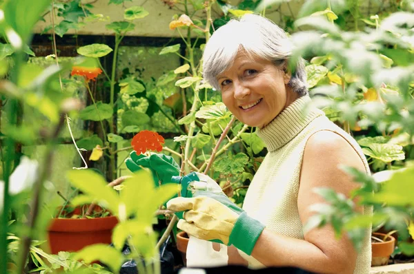 Mujer Invernadero Regando Con Plantas — Foto de Stock