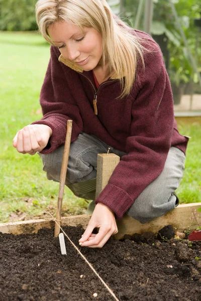 Hübsche Kaukasische Junge Frau Pflanzt Samen Ihrem Garten — Stockfoto