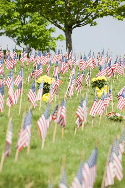 Εμπρόσθια Όψη Της Αμερικανικές Σημαίες Στο Νεκροταφείο Δέντρα Φόντο — Φωτογραφία Αρχείου