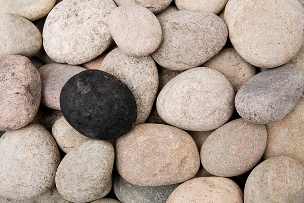 Una Piedra Negra Entre Otras Piedras — Foto de Stock