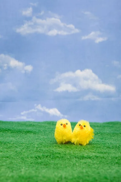 Gelbe Hühnerpuppen Auf Künstlichem Grünen Rasen — Stockfoto