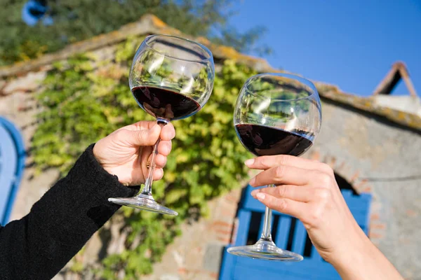 Immagine Ritagliata Mani Femminili Tostatura Con Vino Rosso — Foto Stock