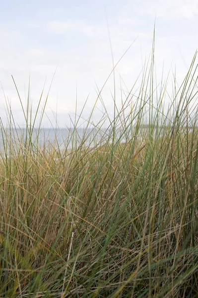 草海岸の風光明媚なビュー — ストック写真