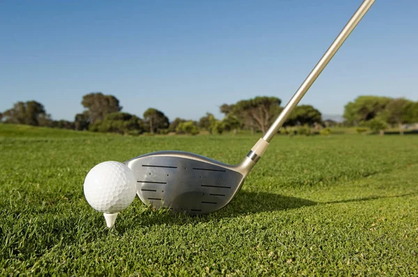 Golfbold Golfklub Grønt Græs - Stock-foto
