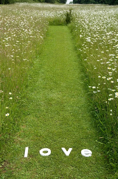 Weißes Wort Liebe Auf Grünem Gras — Stockfoto