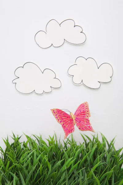 Nuvens Pintadas Com Grama Borboleta Fundo Branco — Fotografia de Stock