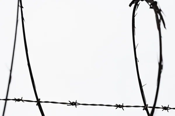 白い背景に隔離されたカミソリ線 — ストック写真