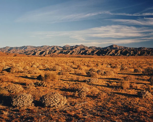 Vista Panoramica Del Deserto Della California — Foto Stock