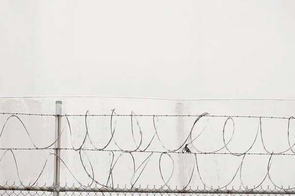 Razor Wire Metal Barbed Wire Background Fog — Stock Photo, Image