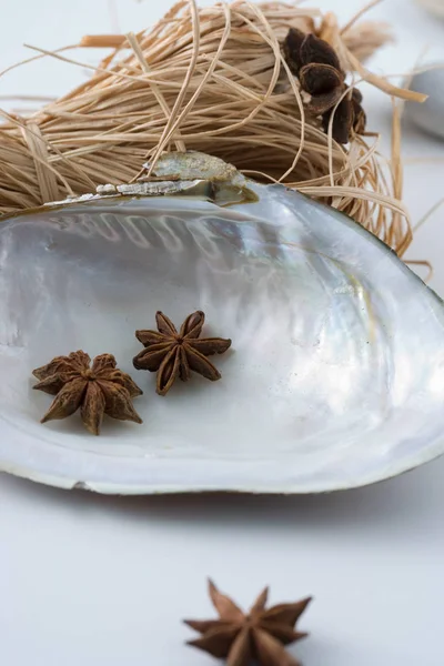 貝殻と干し草にスターアニス — ストック写真
