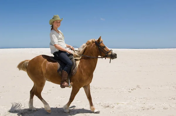 Ein Mädchen Auf Einem Pferd — Stockfoto