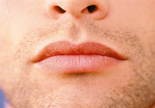 Προβολή Closeup Της Καλαμιάς Αρσενικό Χείλη — Φωτογραφία Αρχείου