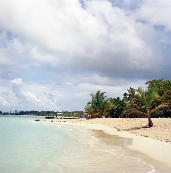 Extensa Praia Areia Ilha Roatan Honduras — Fotografia de Stock