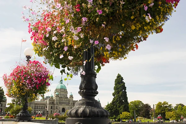 加拿大不列颠哥伦比亚省的花卉和议会大厦 — 图库照片