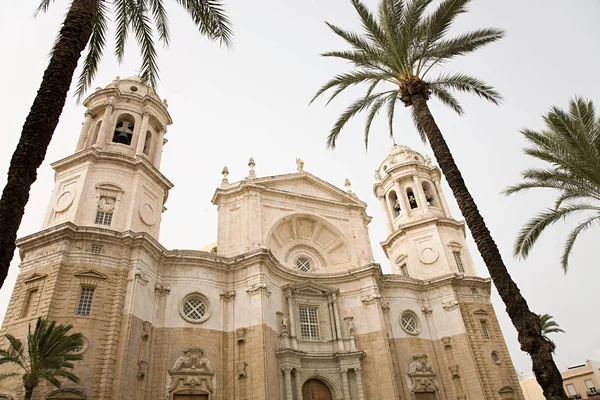 Blick Auf Kathedrale Und Palmen Cadiz Spanien — Stockfoto