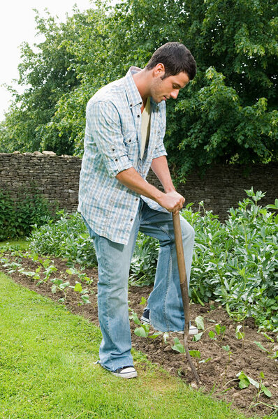 Man Digging His Garden Stock Photo