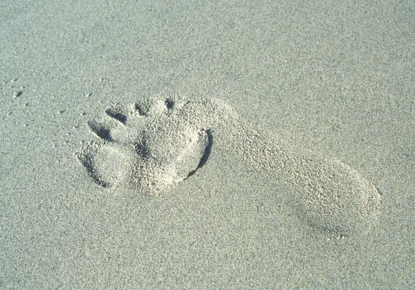 Ślad Piasku Plaży — Zdjęcie stockowe