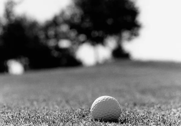 Primer Plano Una Pelota Golf Campo Hierba Sobre Fondo Borroso —  Fotos de Stock