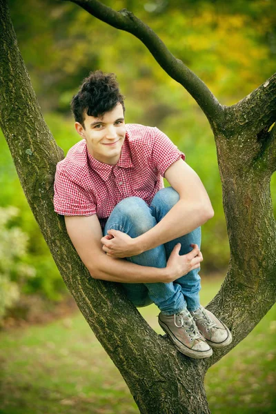 Teenage boy climbing tree in park
