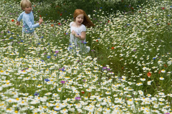 Kinder Rennen Blumenwiese — Stockfoto